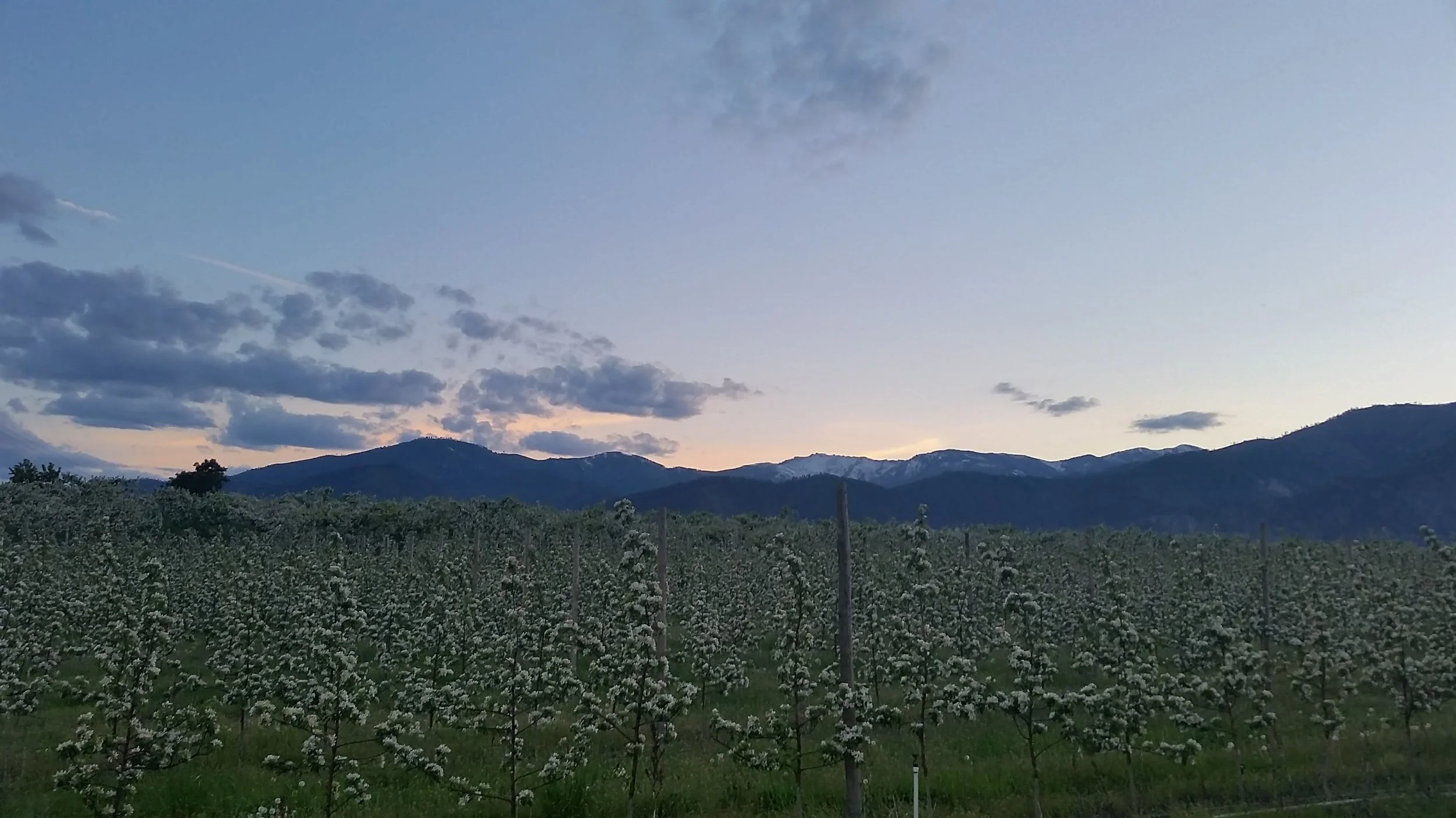 20170509_202446.jpg