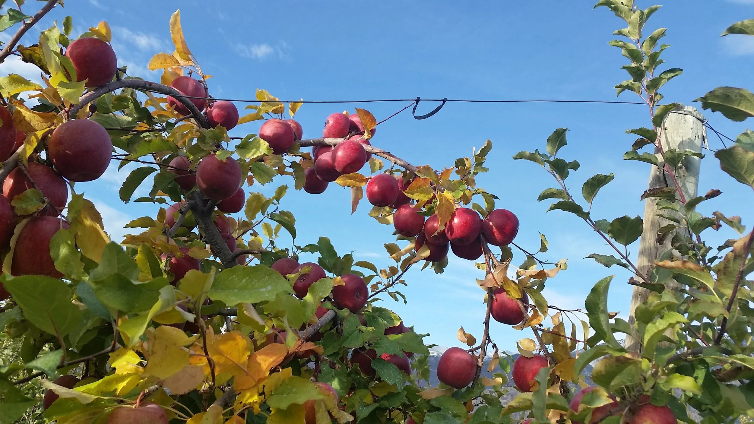 20171023_091847.jpg