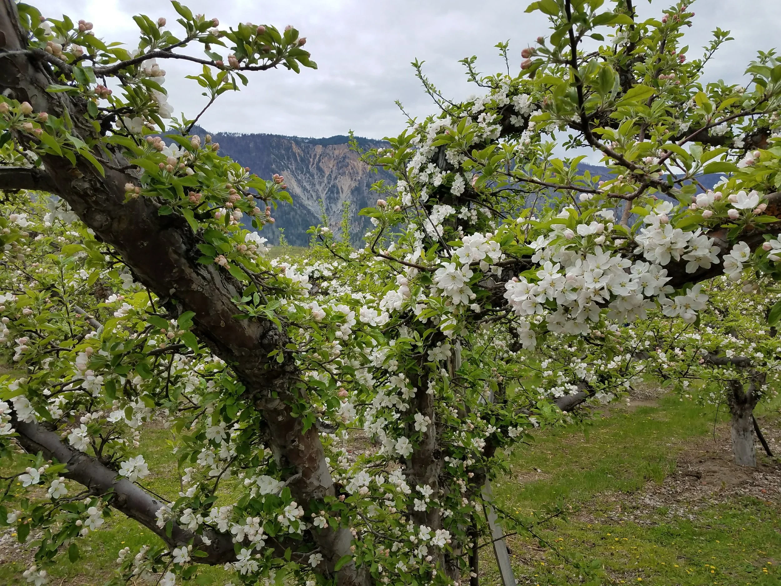 20180430_164742.jpg