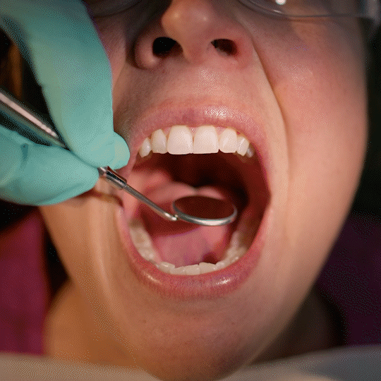 TRIM_AdobeExpress (2).gif