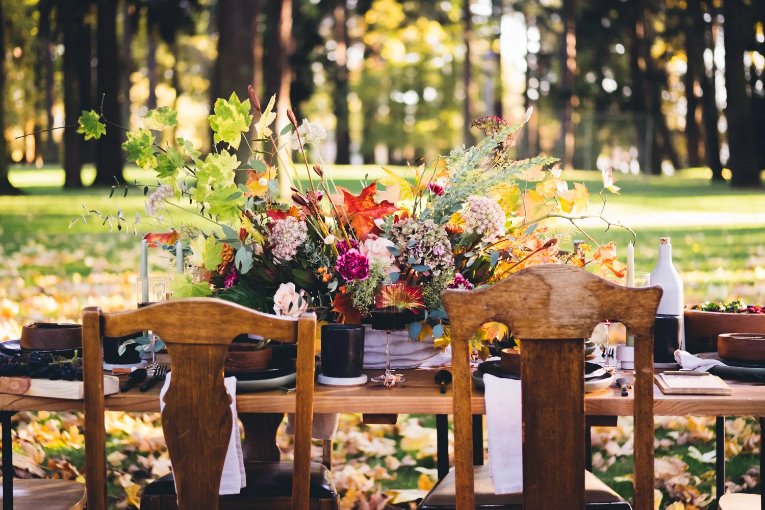 autumn_shoot-77.jpg