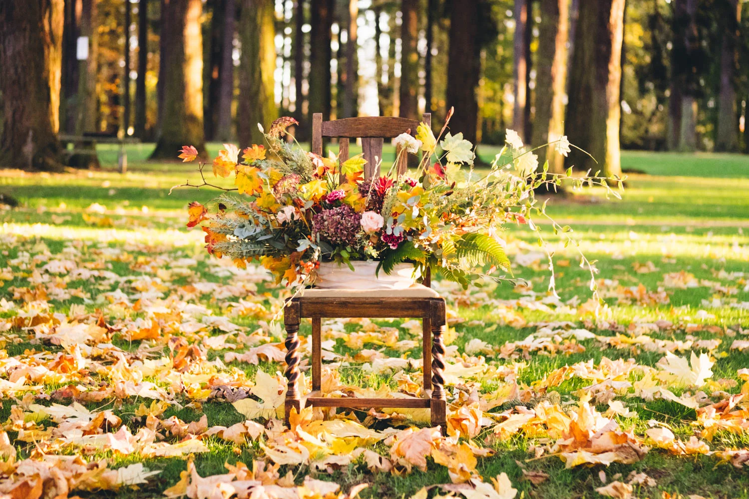 autumn_shoot-143.jpg