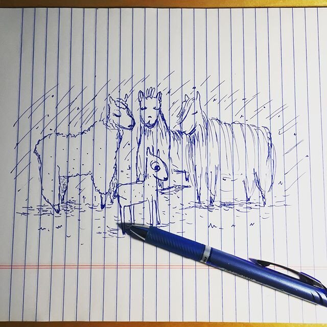 Mini-break.Thinking of llamas #llamas #sketch #childrensbooks