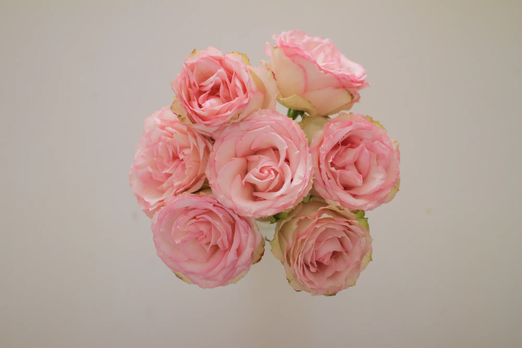 5 Languages of Love: The Secret to Giving and Receiving Love