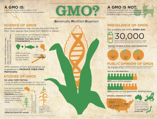 gmo.png