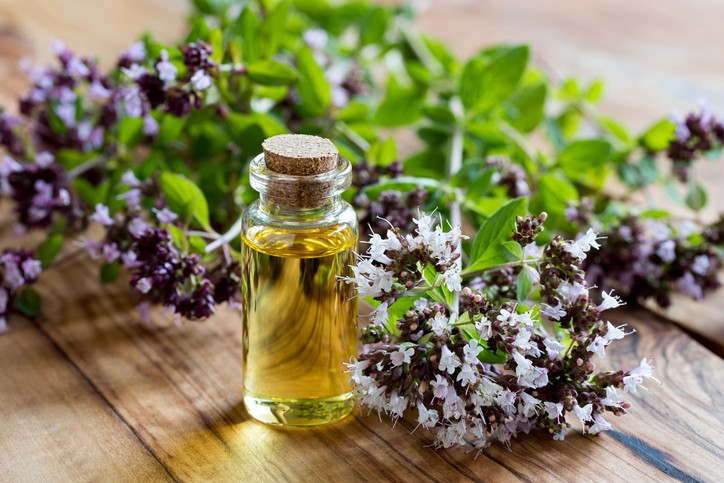 Oregano-oil-could-cut-food-poisoning-from-prep-surfaces_wrbm_large.jpg