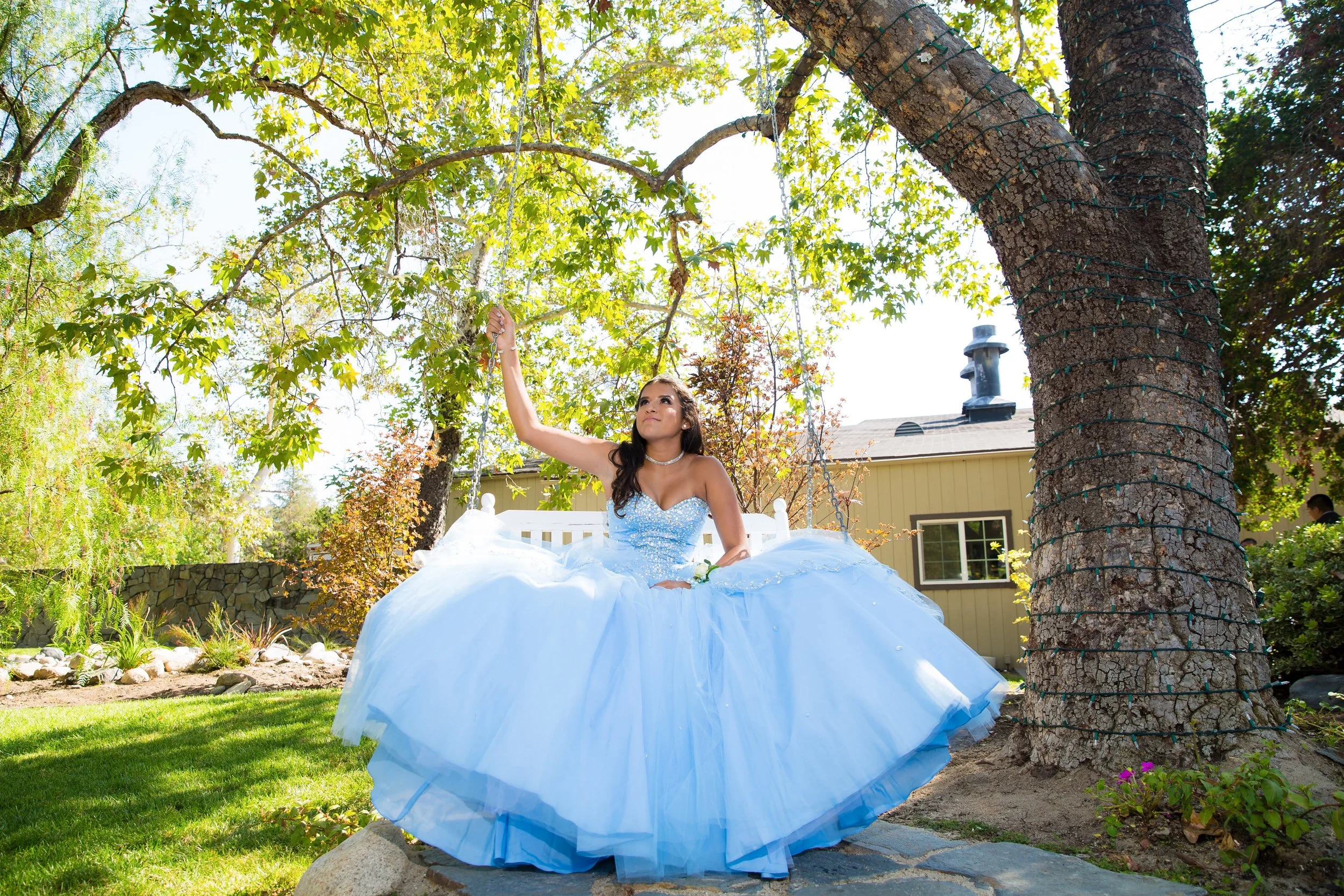 quince photographer debut