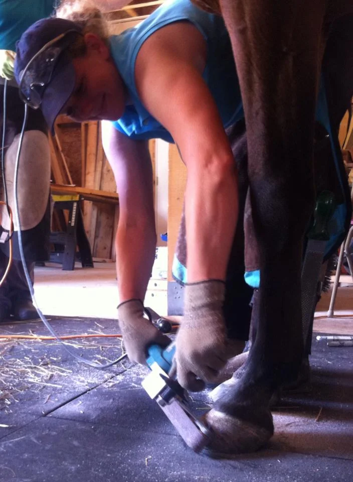 Business Philosophy: "To provide , orchestrate and promote whole horse healing, soundness, hoof balance and compassionate support to equines and their owners by providing a comprehensive, approachable and customer oriented farrier service."