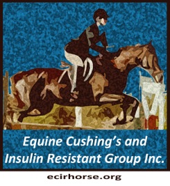 The ecirhorse.org website is complimentary to the Equine Cushing's and Insulin Resistance outreach group. Visit the Yahoo Outreach Group . Equine Cushing's Disease, also known as Pituitary Pars Intermedia Dysfunction (PPID), and Insulin Resistance (IR) are distinctly separate conditions. The often overlapping signs and symptoms can make diagnosis difficult. This website is intended to provide detailed information for correct Diagnosis, Diet, Trim and Exercise. With over 12,000 international members, the ECIR yahoo outreach group is arguably the world's largest field trial in the world and provides the latest research, medication information & dietary recommendations for horses with these conditions. We are proud to announce that in March of 2013, the Equine Cushing's and Insulin Resistance Group Inc., was approved as a 501(c)3 public charity and can now receive tax deductible contributions. The mission of the ECIR Group Inc. is to improve the welfare of equines with metabolic disorders via a unique interface between basic research and real-life clinical experience. Prevention of laminitis is the ultimate goal. The ECIR Group serves the scientific community, practicing clinicians and owners by focusing on investigations most likely to quickly, immediately and significantly benefit the welfare of the horse.