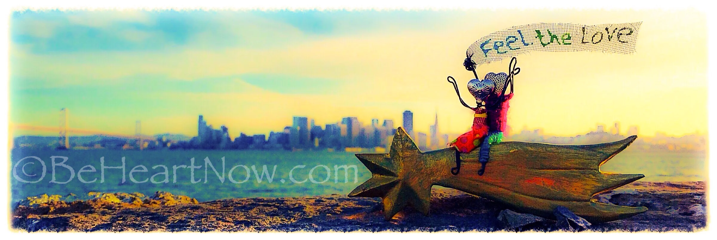 Copy FLT SF close up.JPG