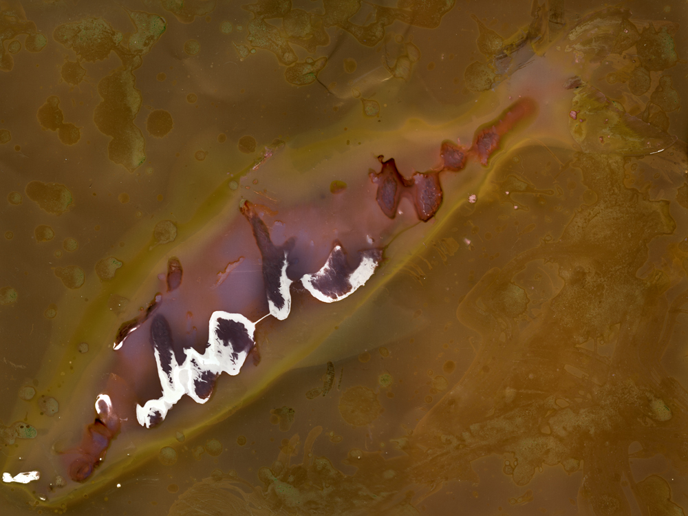 Cry of the Lake Dwellers No. 5
