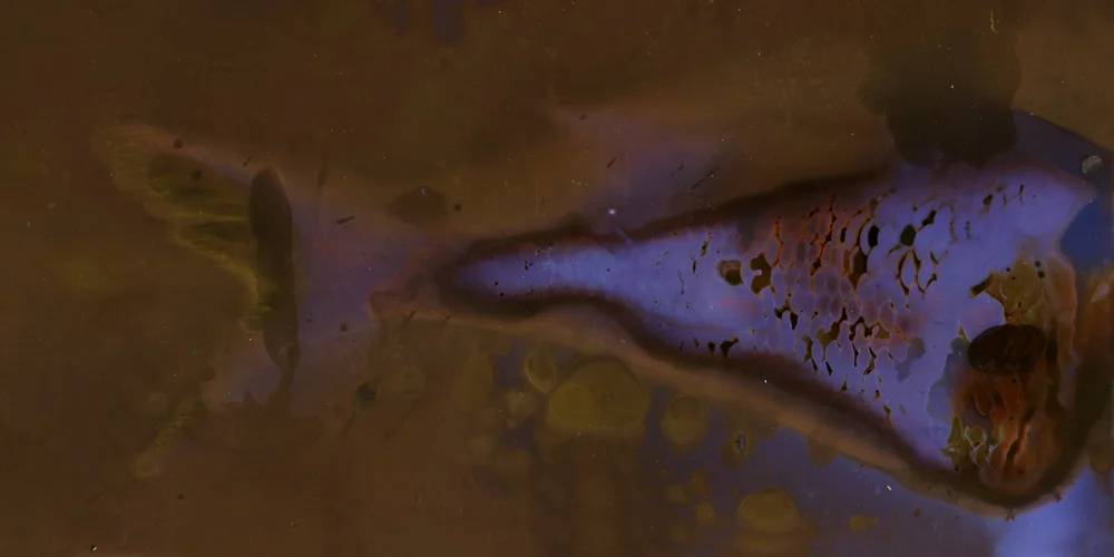 Cry of the Lake Dwellers No. 9
