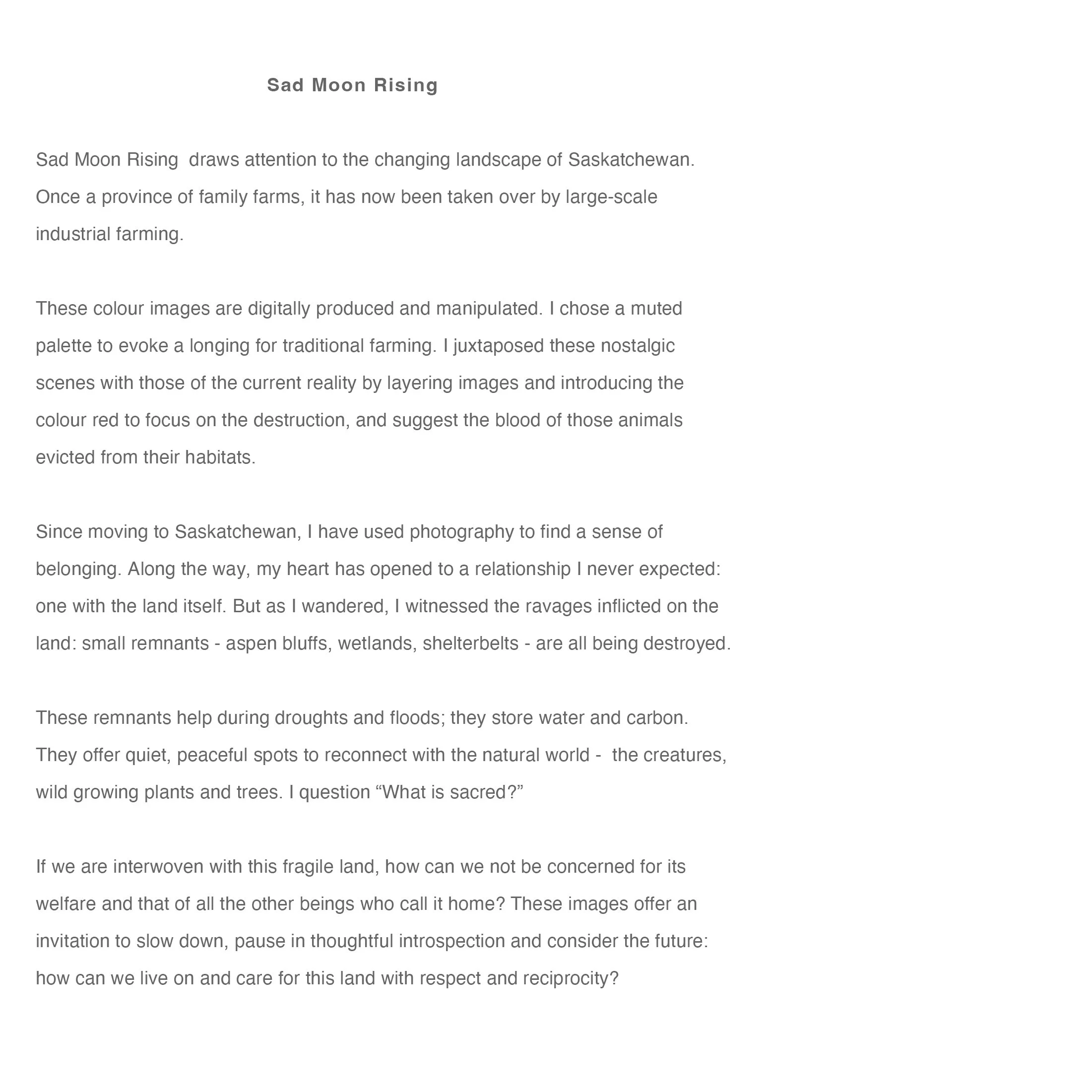 Sad Moon Rising copy 2.jpg