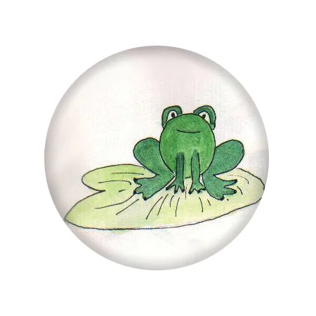 MLP_frog.jpg