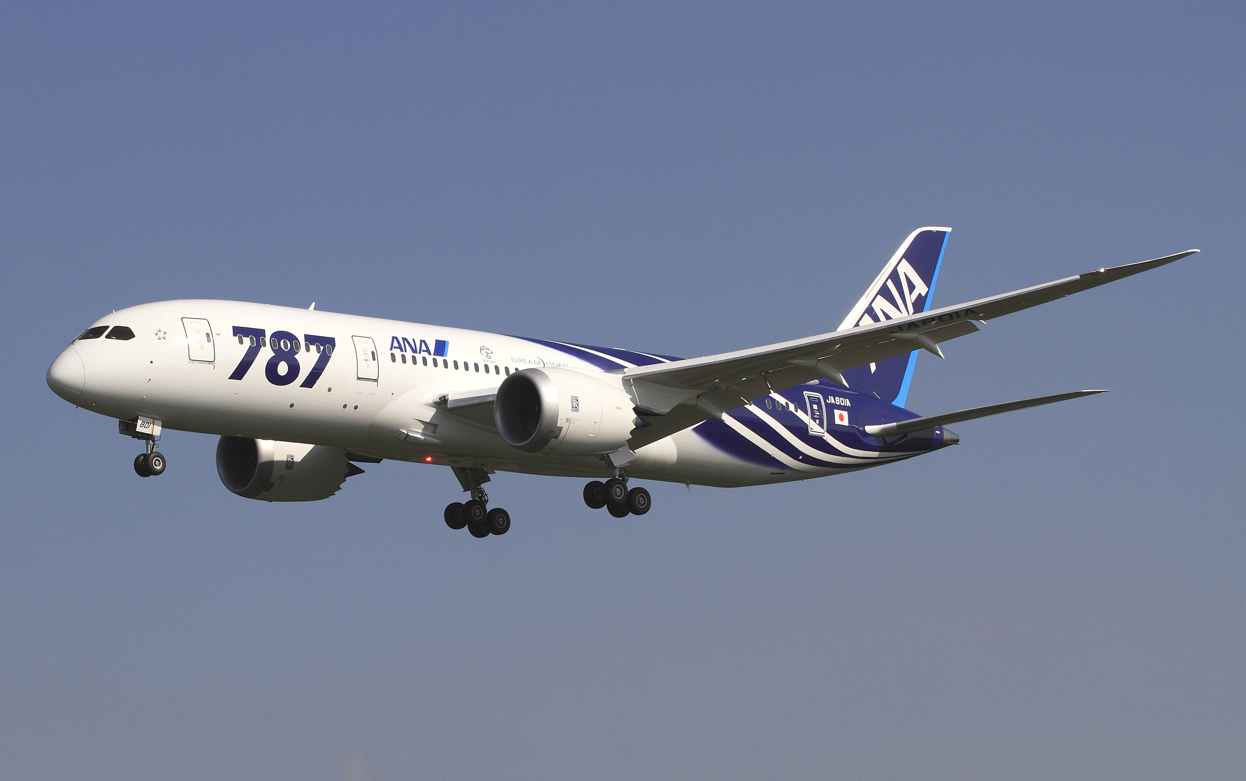 "All Nippon Airways Boeing 787-8 Dreamliner JA801A OKJ in flight". Licensed under CC BY-SA 3.0 via Wikimedia Commons