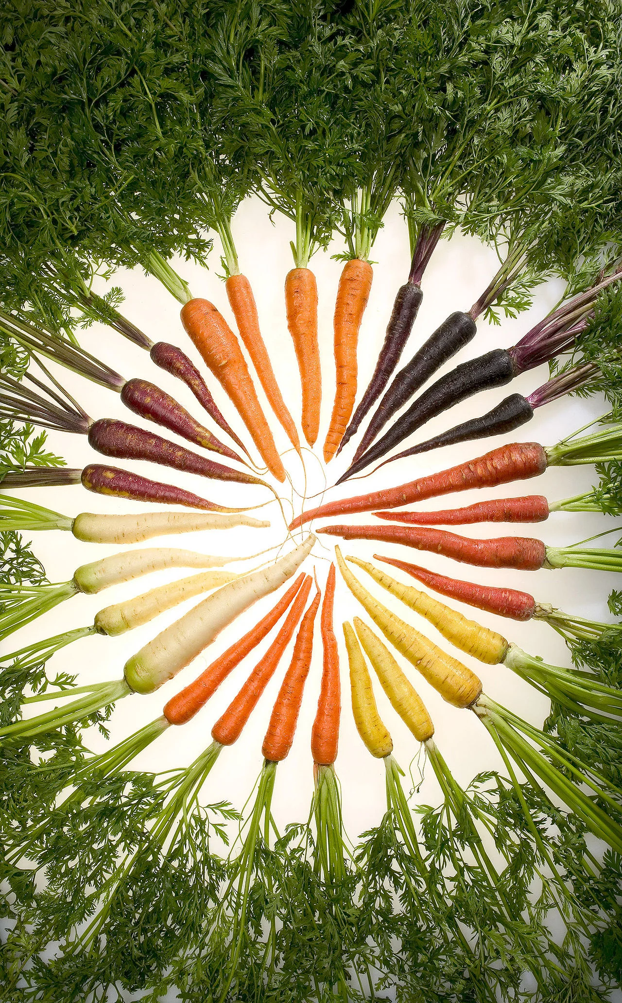 Colorful carrots! (Photo courtesy of Wikipedia)