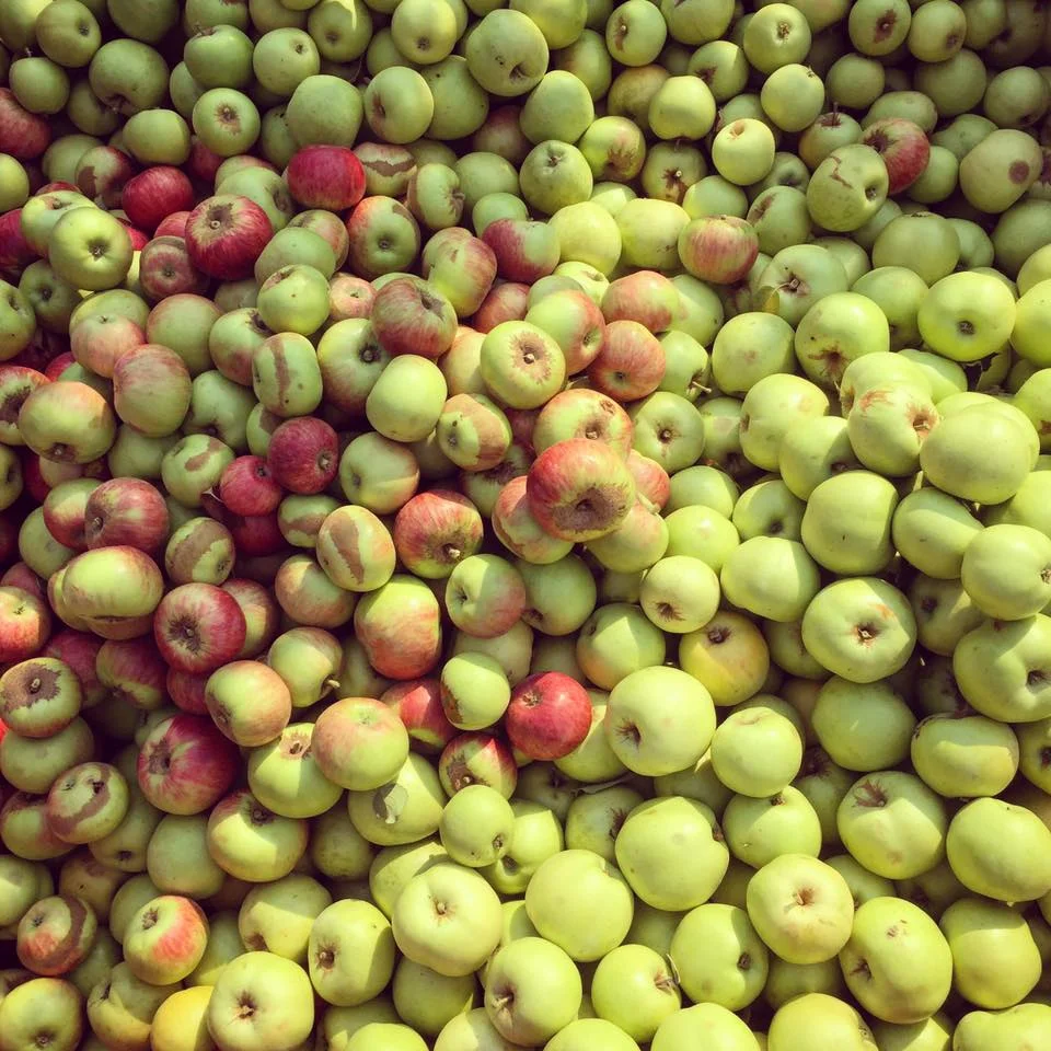snowdrift cider fb 1.jpg