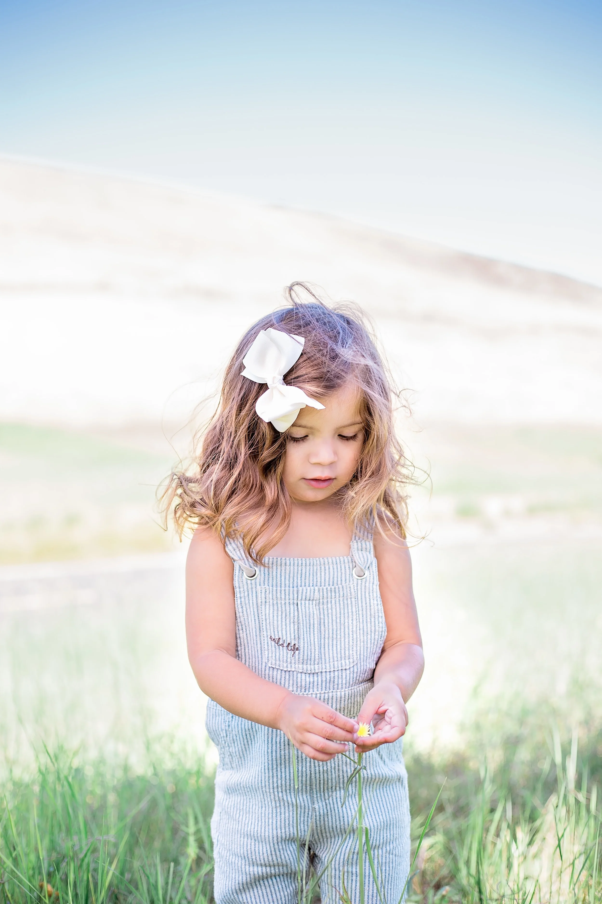 1T8A3633-Edit.jpg