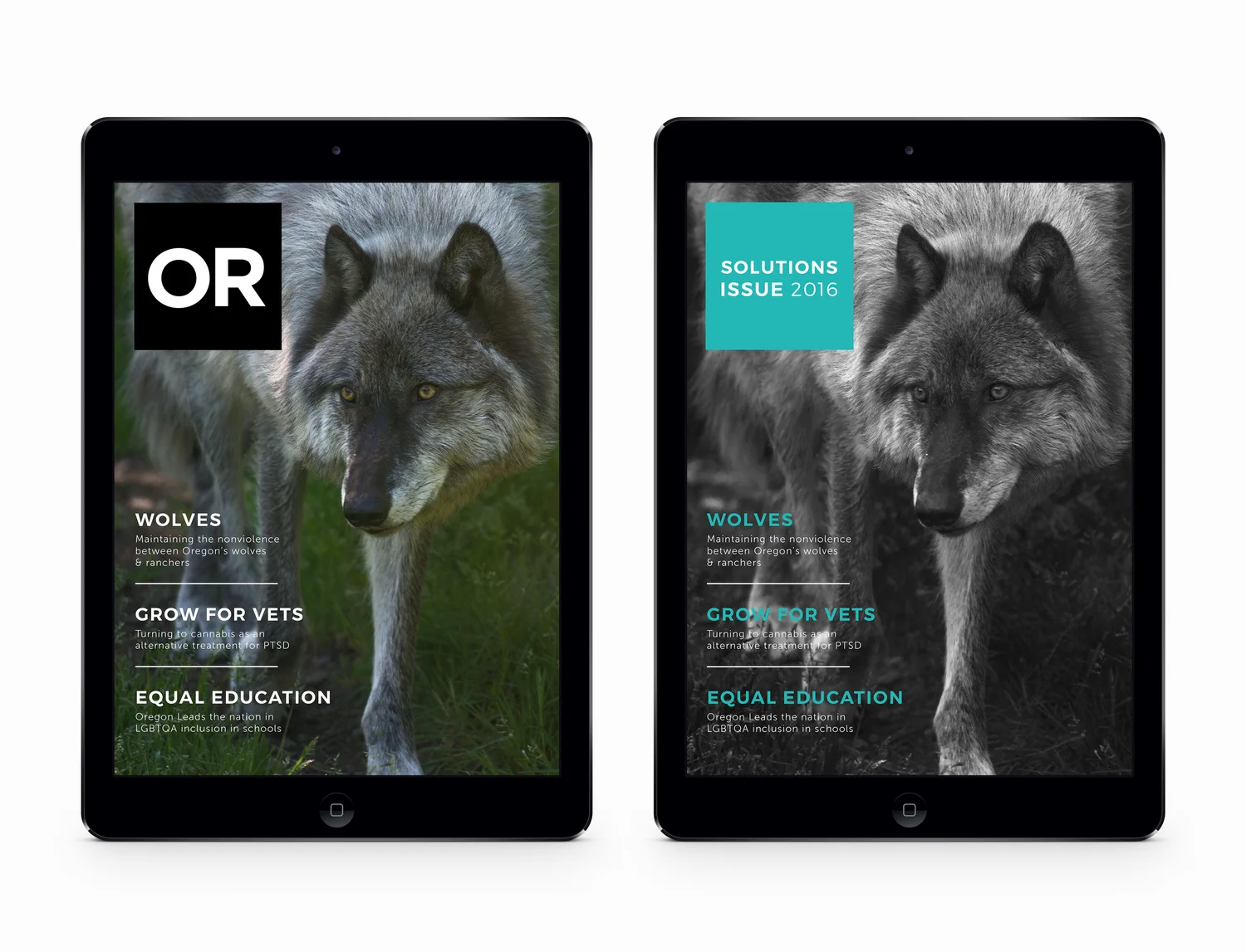 OR-Mag-iPad1.jpeg