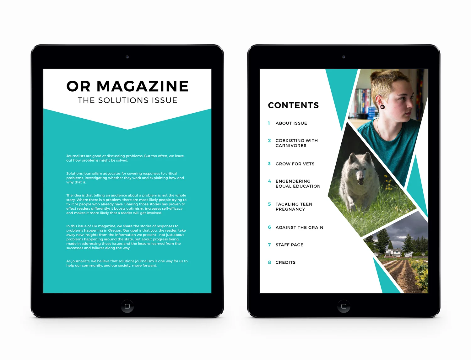 OR-Mag-iPad3.jpeg