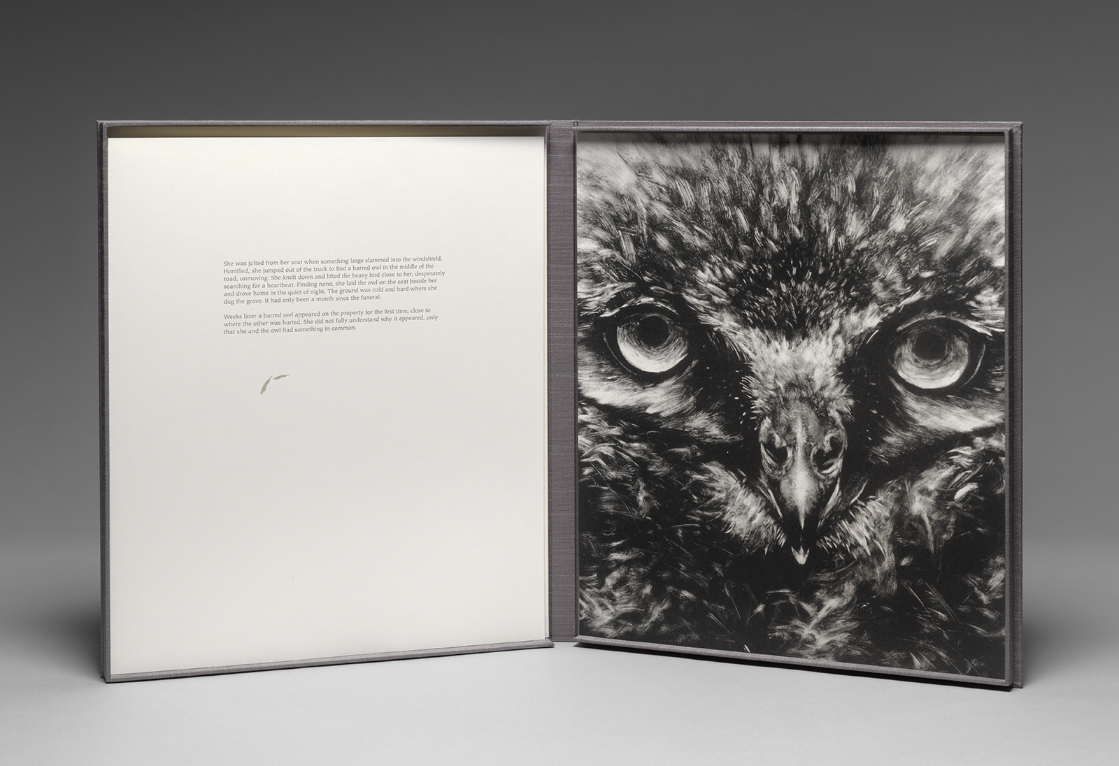 Messenger - Owl.jpg