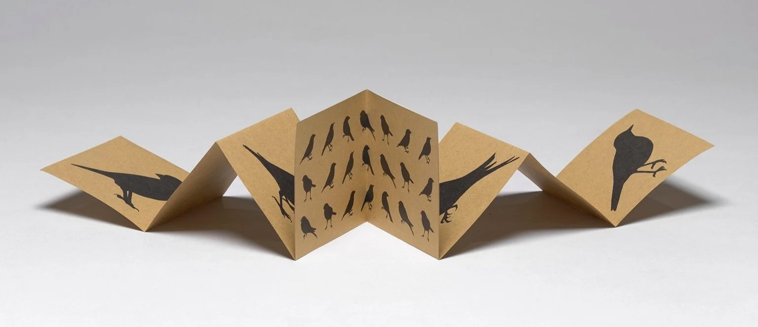 Bring Birds Back_04.jpg