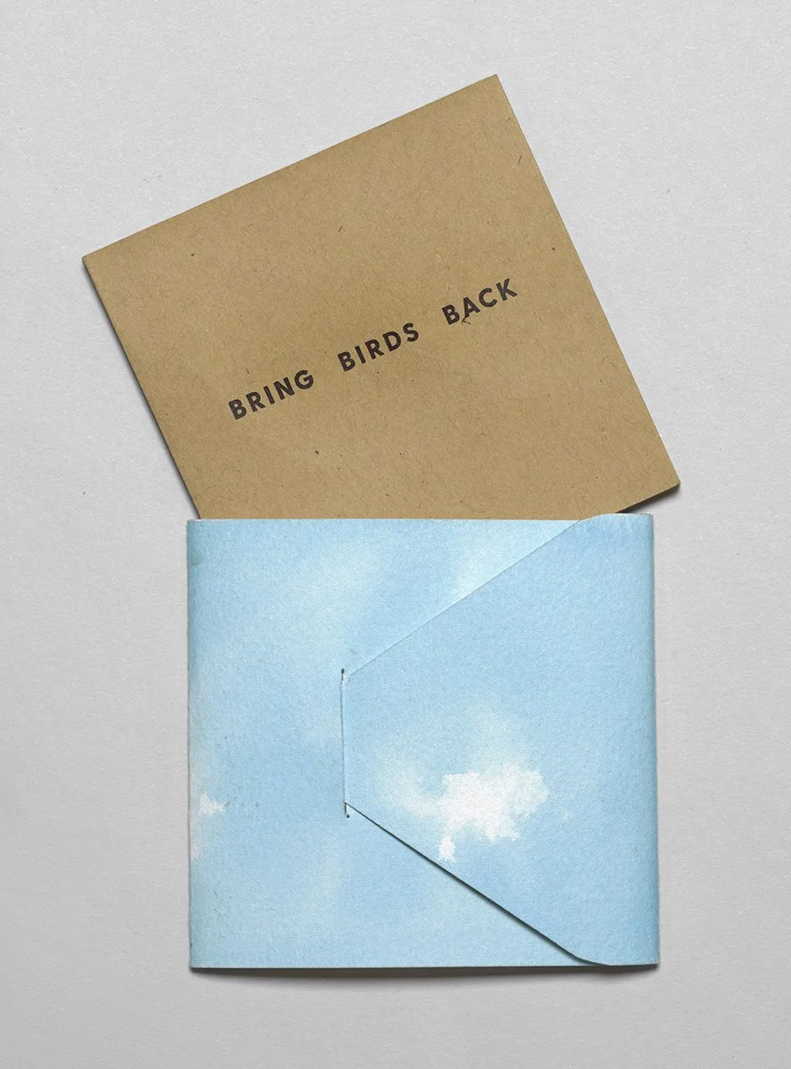 Bring Birds Back_01.jpg