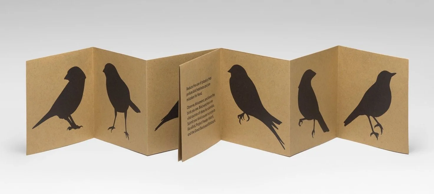 Bring Birds Back_02.jpg