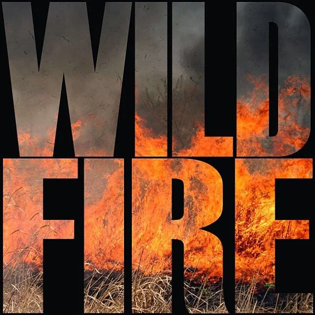 Wildfire2.jpg