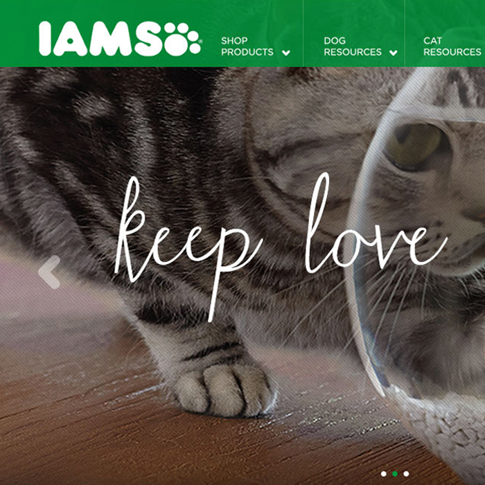 Thumb_Iams.jpg