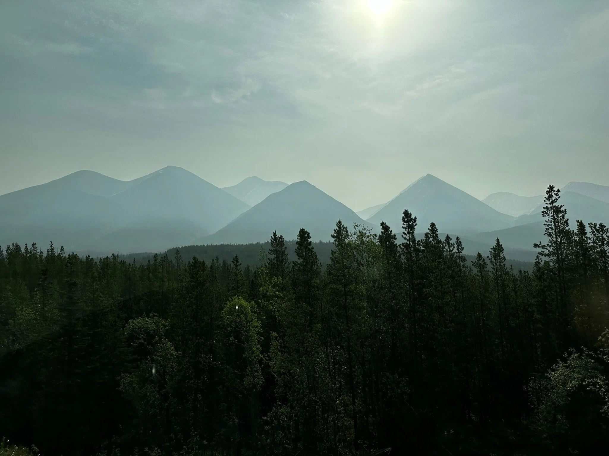 IMG_1704.jpeg