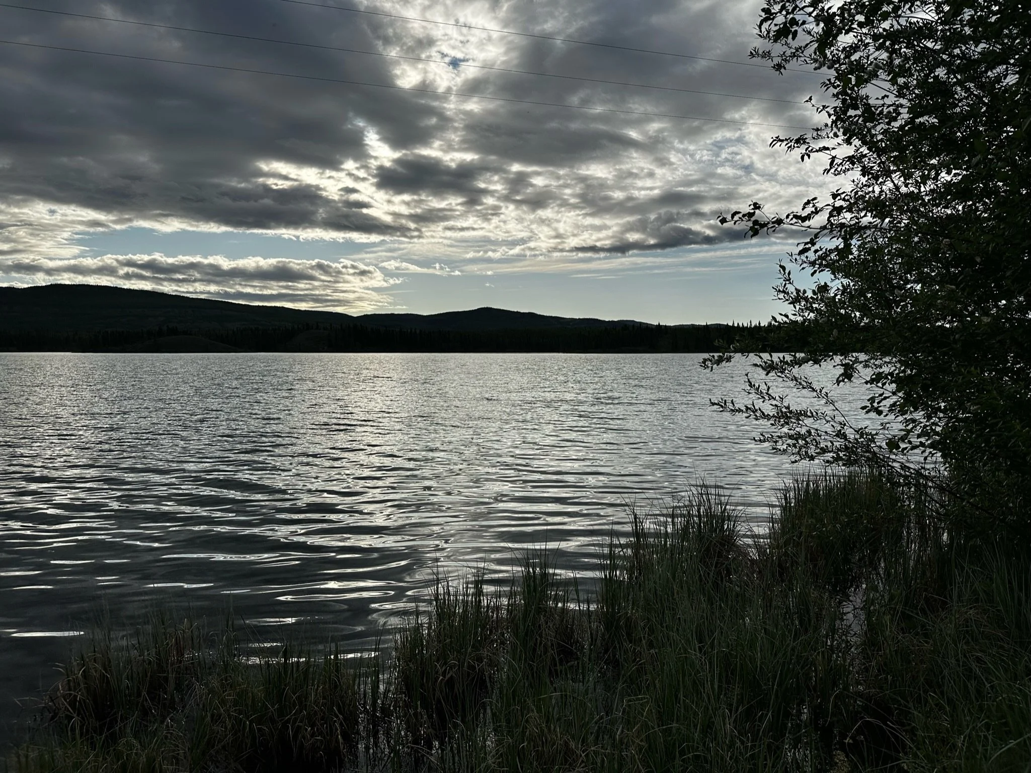 IMG_1764.jpeg