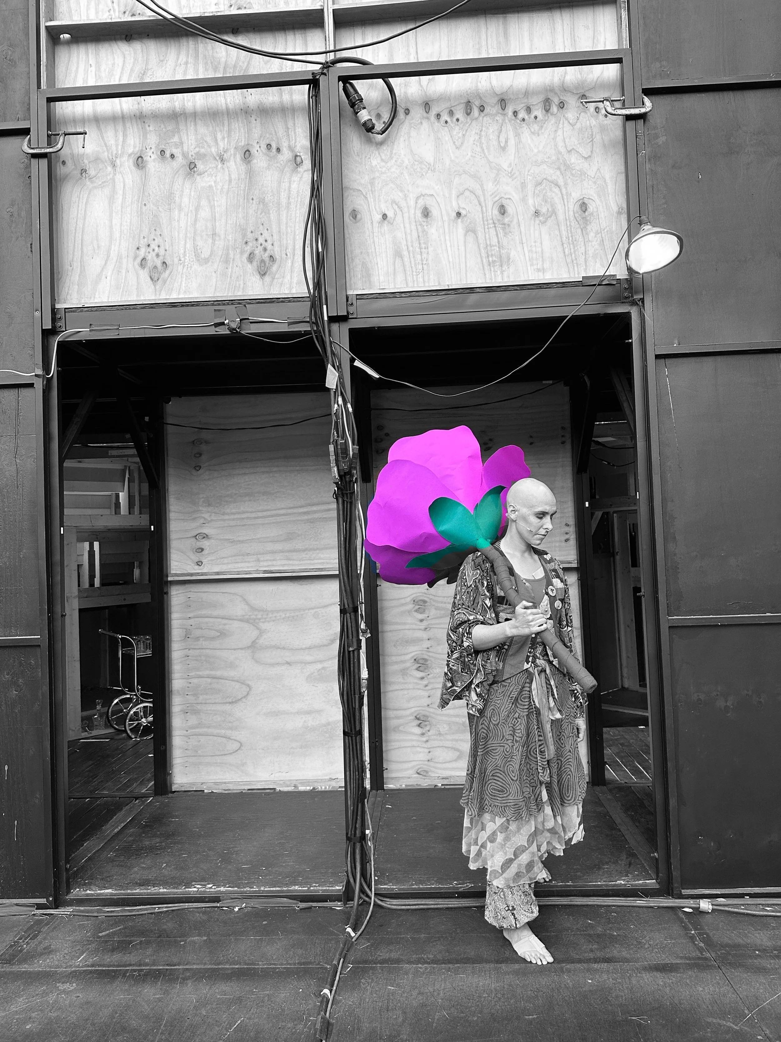 Twelfth Night, Marin Shakes, 2023, Fest