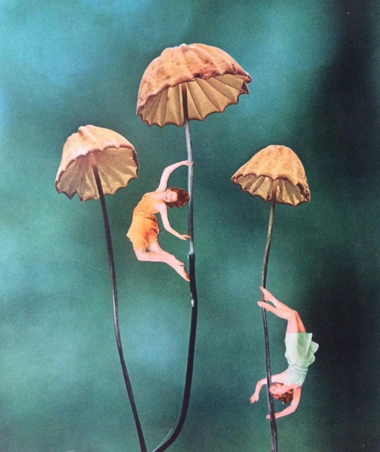 Image by Janna Dorothy