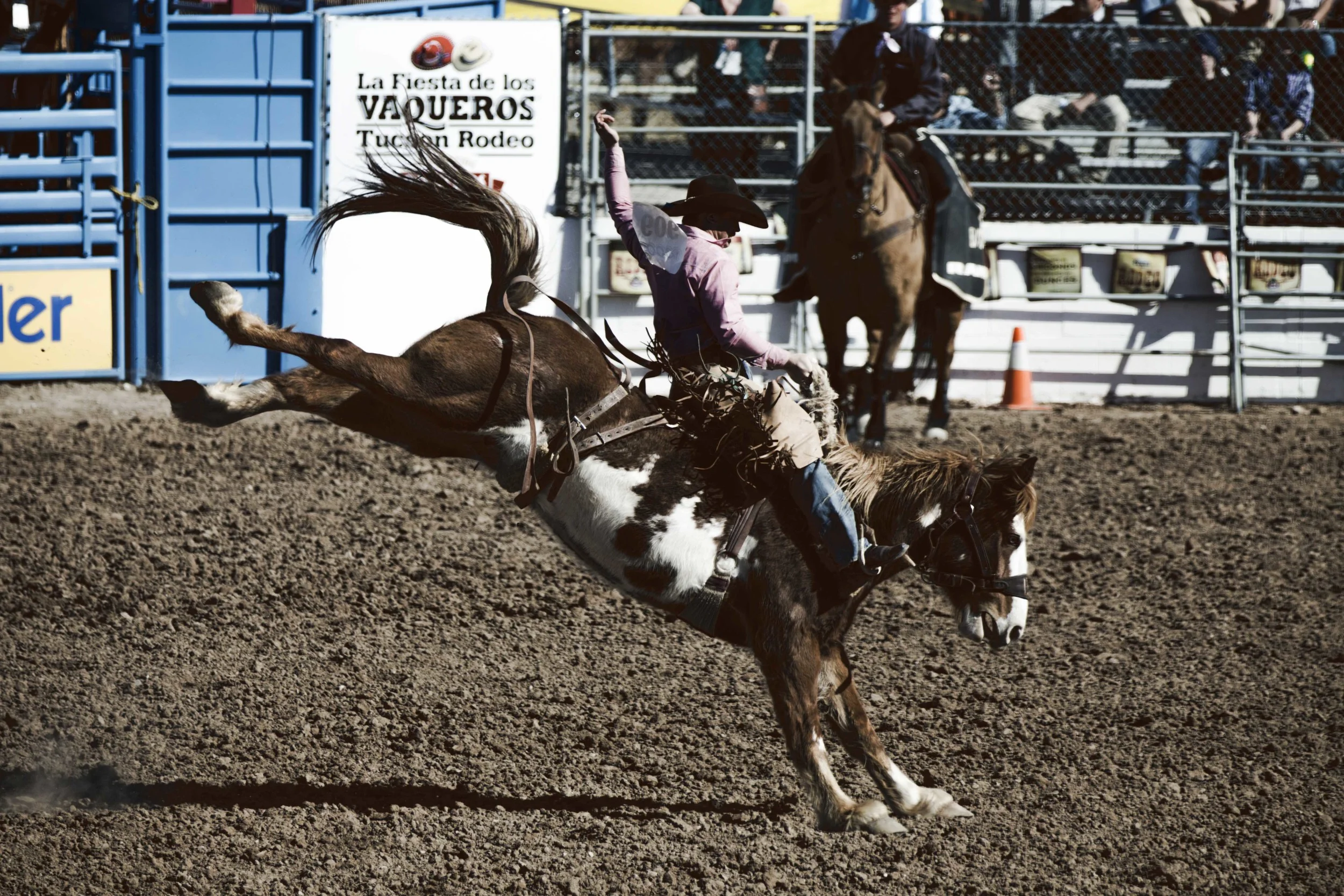 Day 35 - Tucson, AZ The Tucson Rodeo! Also known as Fiesta de los Vaqueros. It was everyone's first time actually seeing the events. It's exciting to see how the cowboys handle themselves on the bronc horses and a very honorable mention to the women who rode the race horses with extreme precision. 