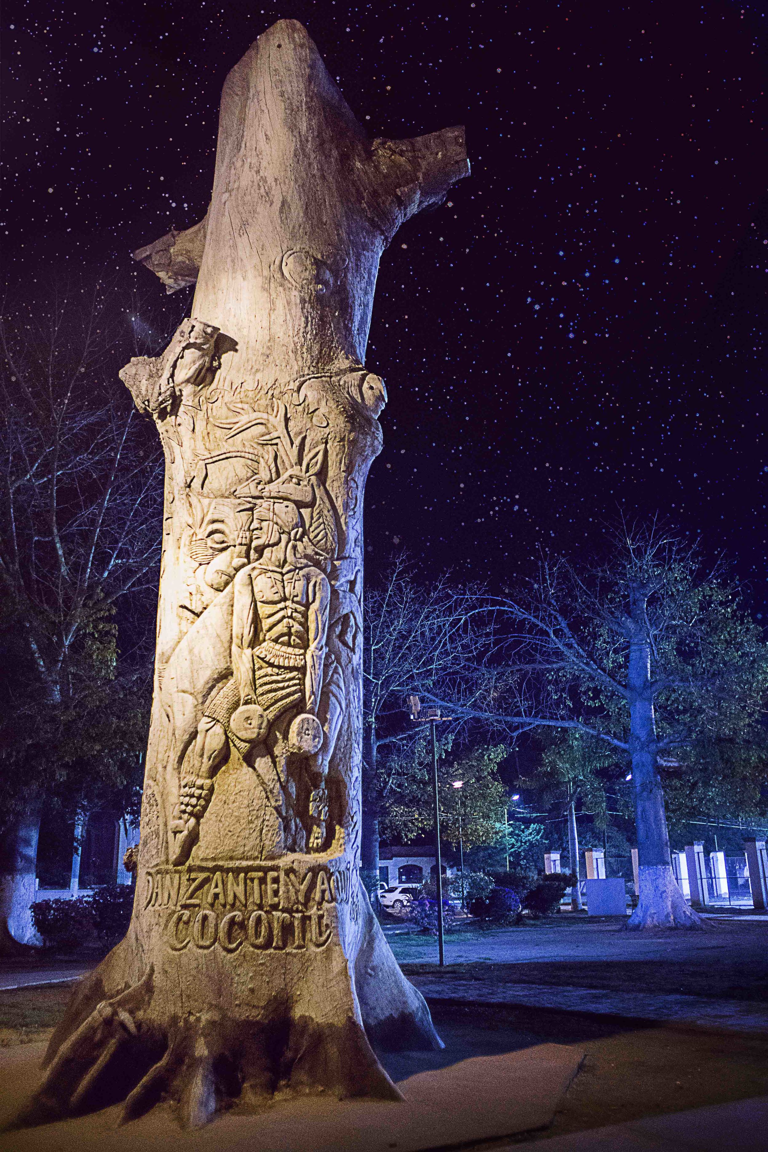 Day 54 - Cócorit, Sonora, Mexico A friend drove us back to Cócorit, to the main plaza, to show us a tree which was carved by hand with the deer dancer's image. The work was done pro bono from of a local artist, Francisco, just for the pleasure of having something nice in their town. In the image, you can see details like the wolves in the background that represent the hunters and the butterfly cocoons that are worn on the dancer's feet.