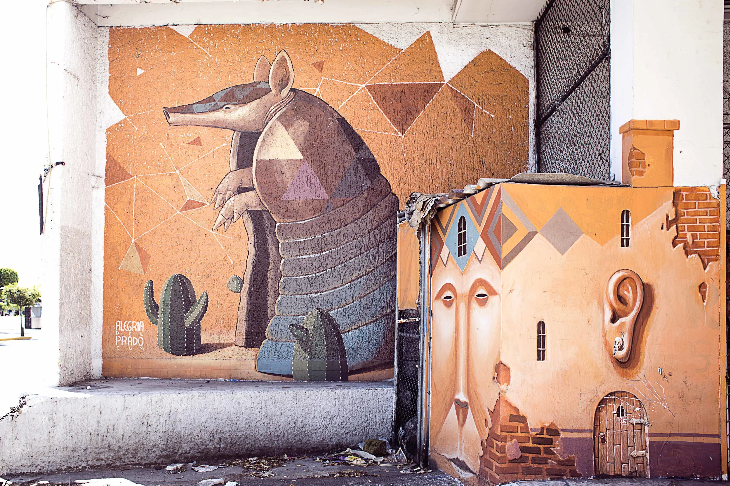 Day 62 - Guadalajara, Jalisco, Mexico One of the many beautiful murals found in Guadalajara. From Alegria del Prado.