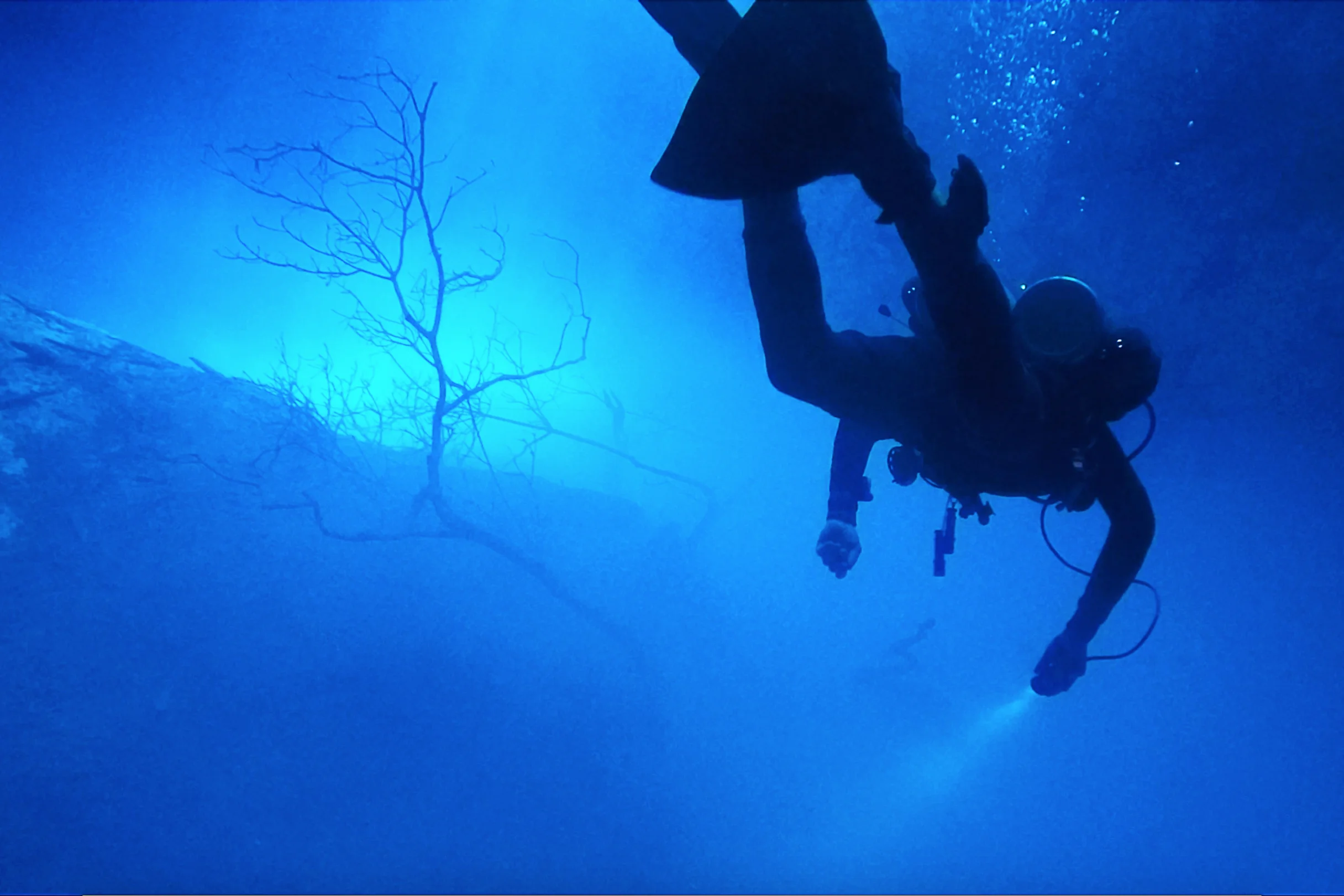 Day 133 - Tulum, Mexico We dive The Pit Cenote, our first deep dive in Tulum and mamma mia! The most beautiful thing I have ever seen. When you reach the cenote, you can jump 6 meters into the water or walk down the stairs with your gear. Once you start your descent, the light effects are absolutely spectacular. You look up to see light piercing through the water then you look down into the vastness of the sink hole. Sun rays penetrate to 30 meters crashing with a hydrogen sulfate cloud, a meeting of salt water and fresh water. Stalactites and oxygen bubbles trapped in the surface of the cave are just of the few other things to admire as you dive in the Pit.