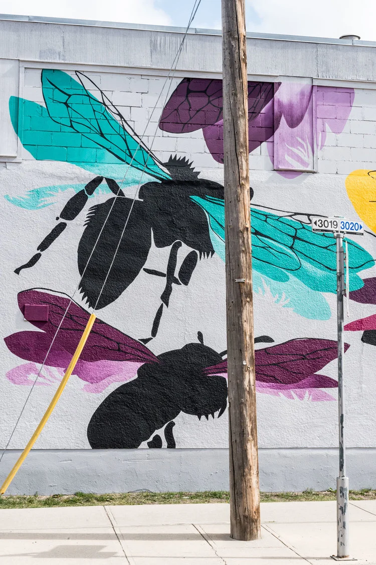 NatalieNehlawi_BeeTogether_2018-9.jpg