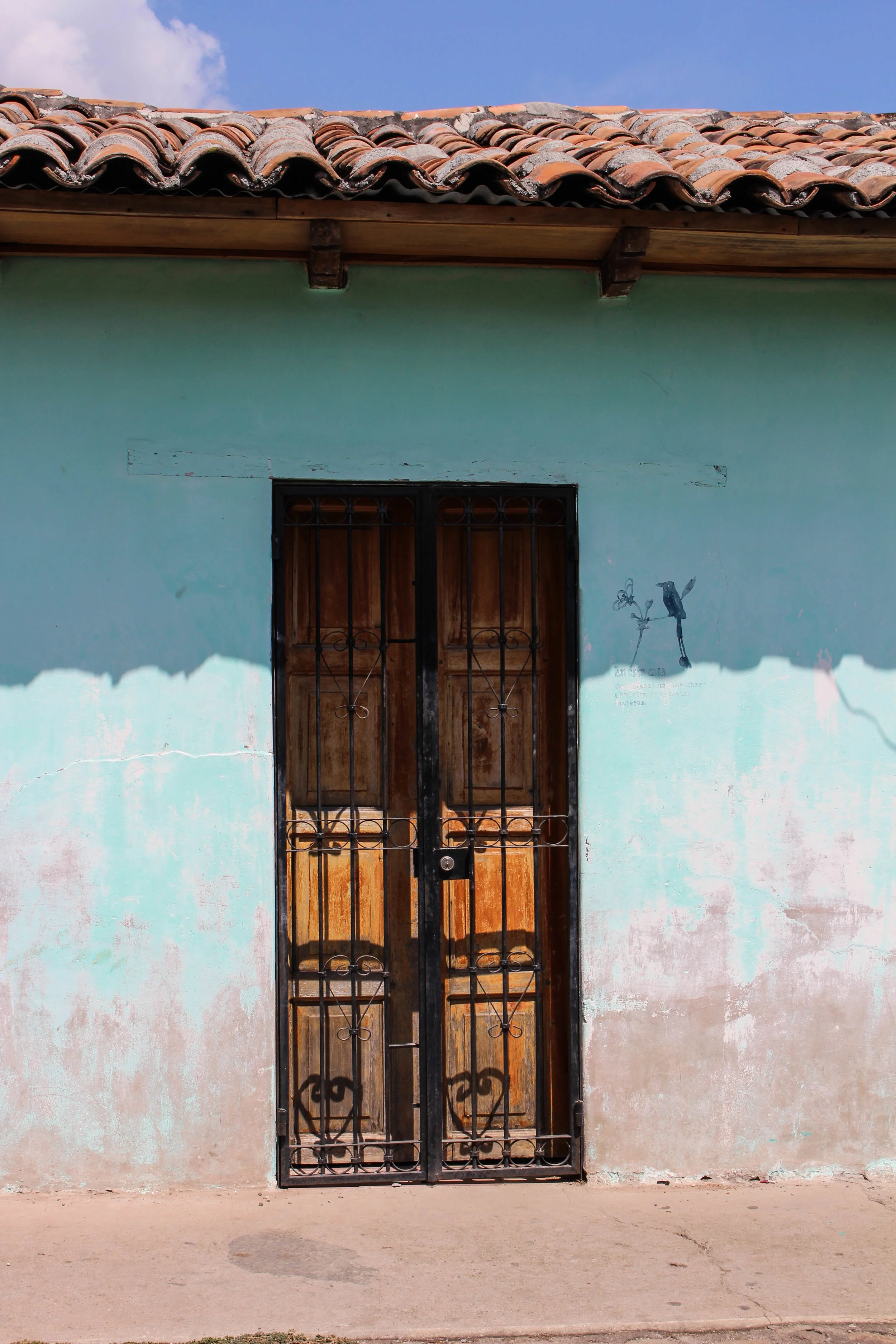 El Salvador- Bird door- set size-natalienehlawi.jpg