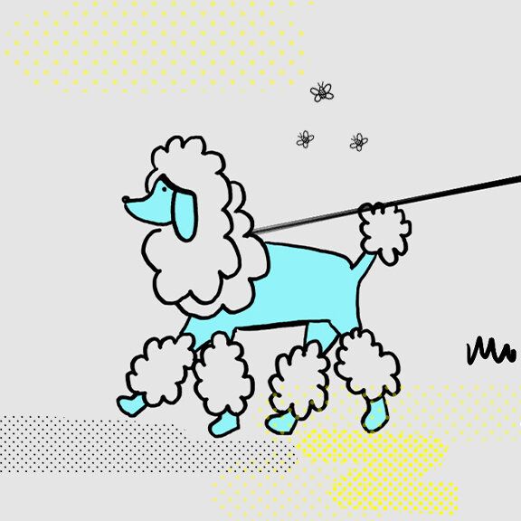 poodle_CBC the highlight.jpg