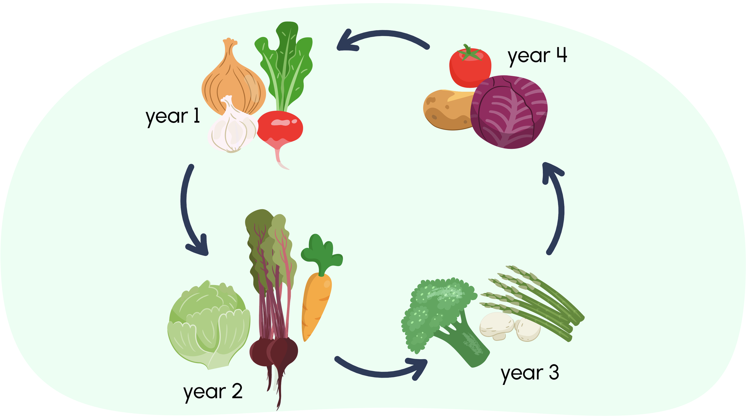 Fruit and Vegtables_TVOKids.png