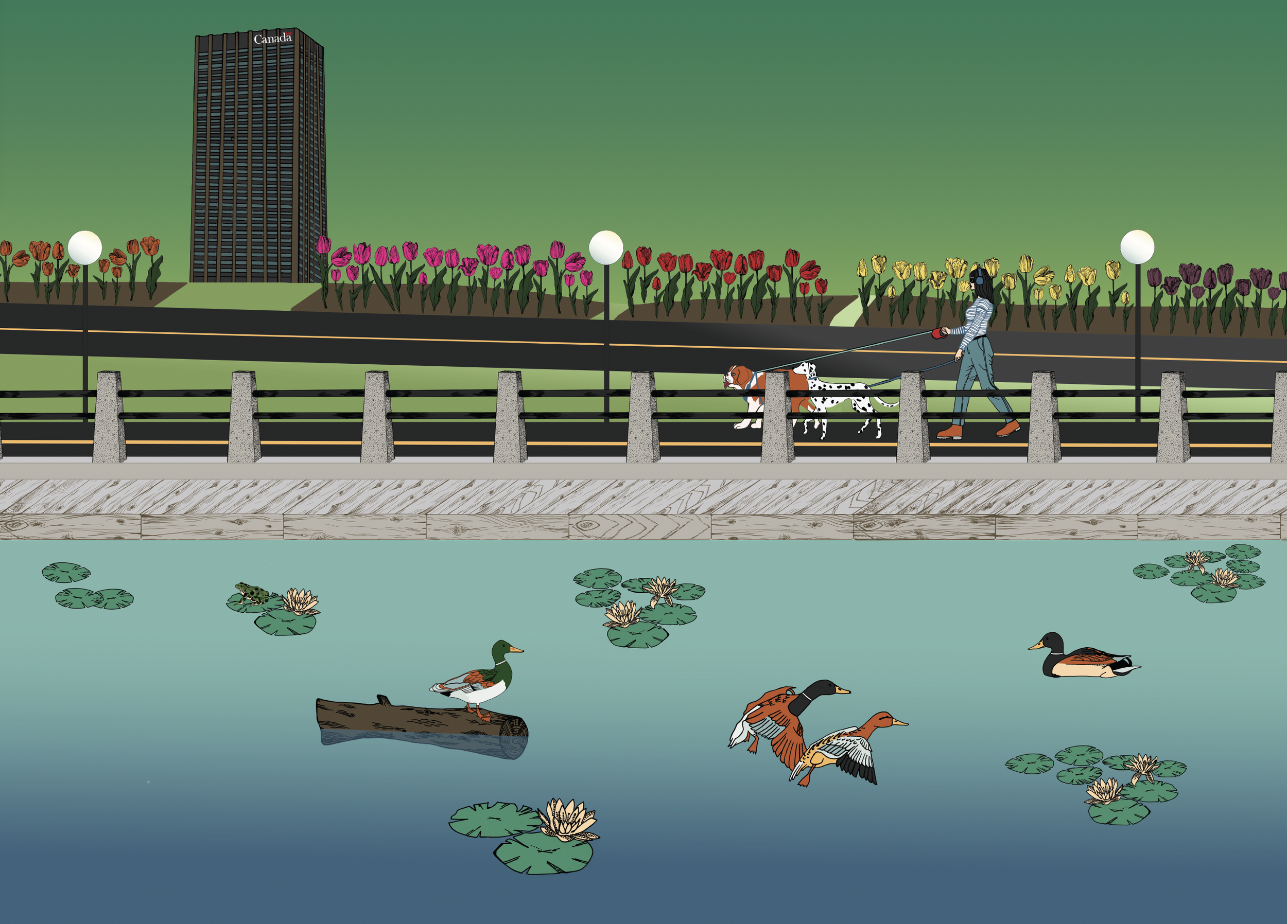 NatalieNehlawi_ModerateZone_ NRC.png