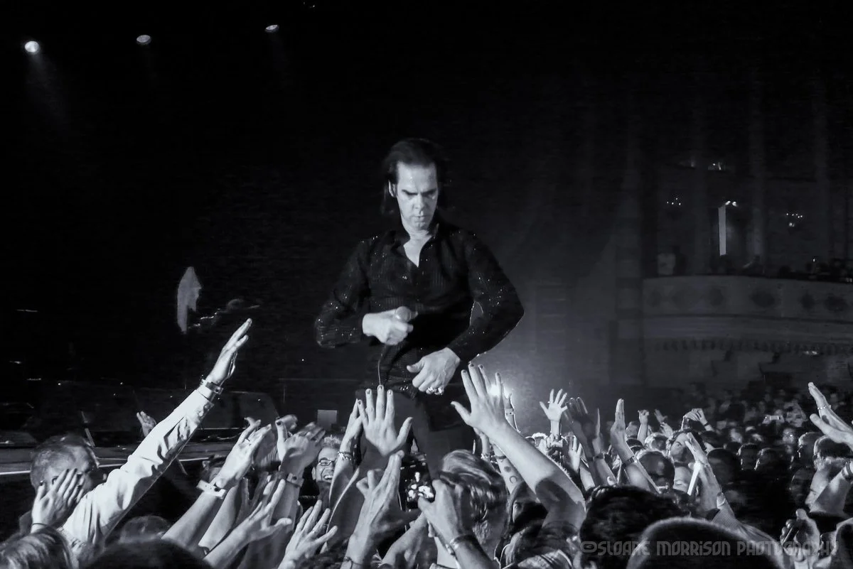 NICK_CAVE_SLOANE_MORRISON.jpg