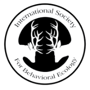 isbe_logo_smallwb.png