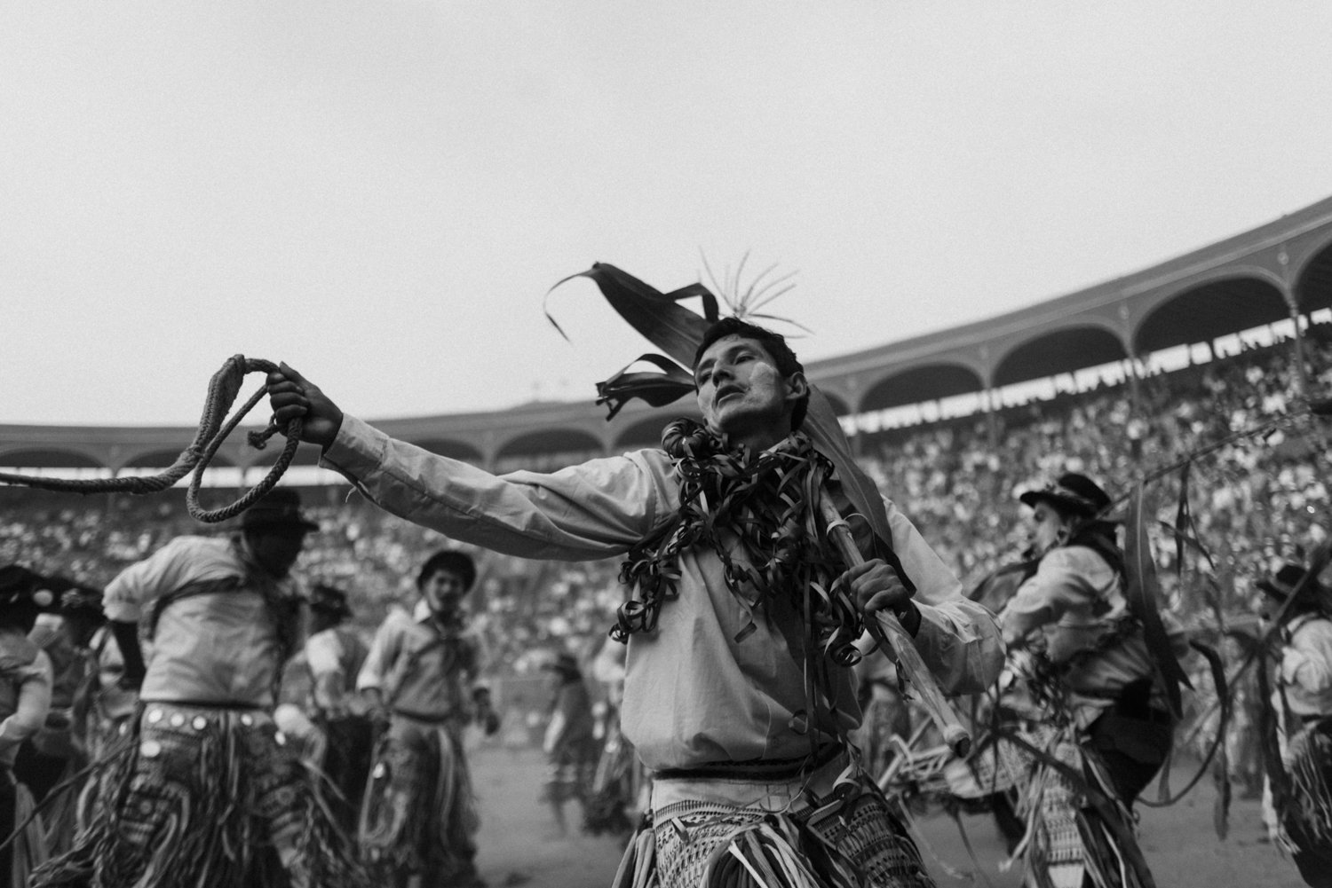 a015.jpg