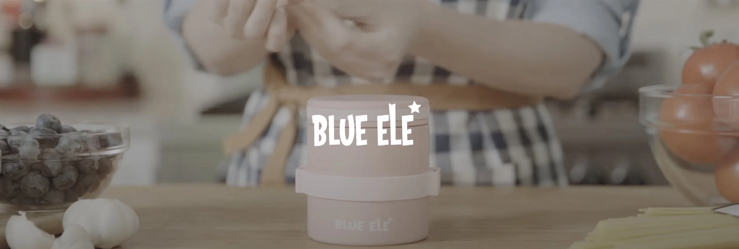 blue ele banner-14.jpg