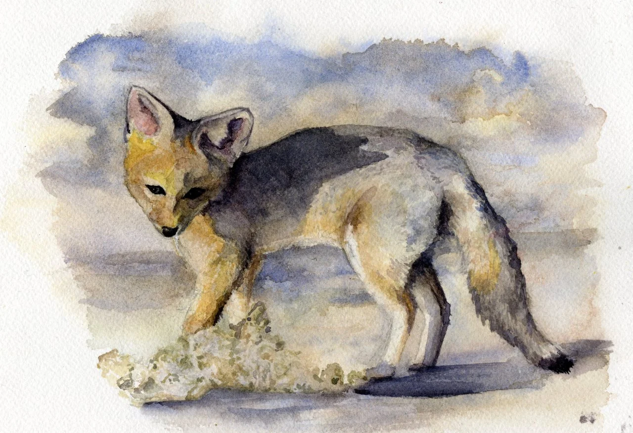 painting finals up next.