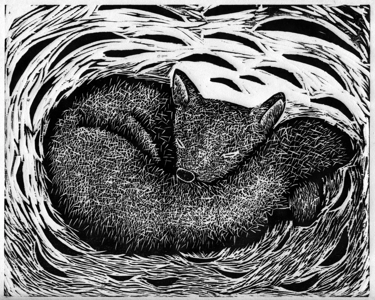 woodblock
Copyright B.Meier