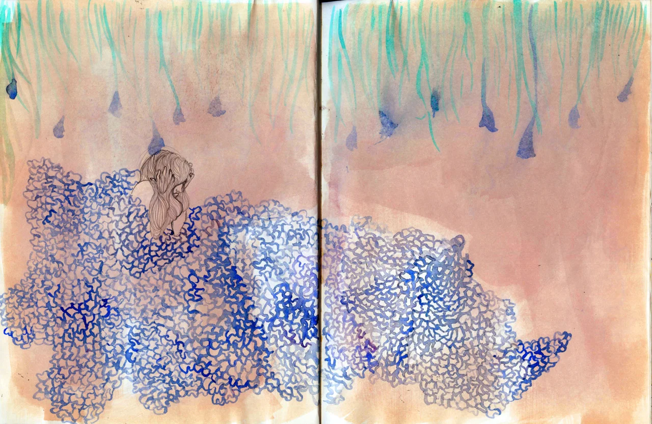 sketchbook
copyright B.Meier